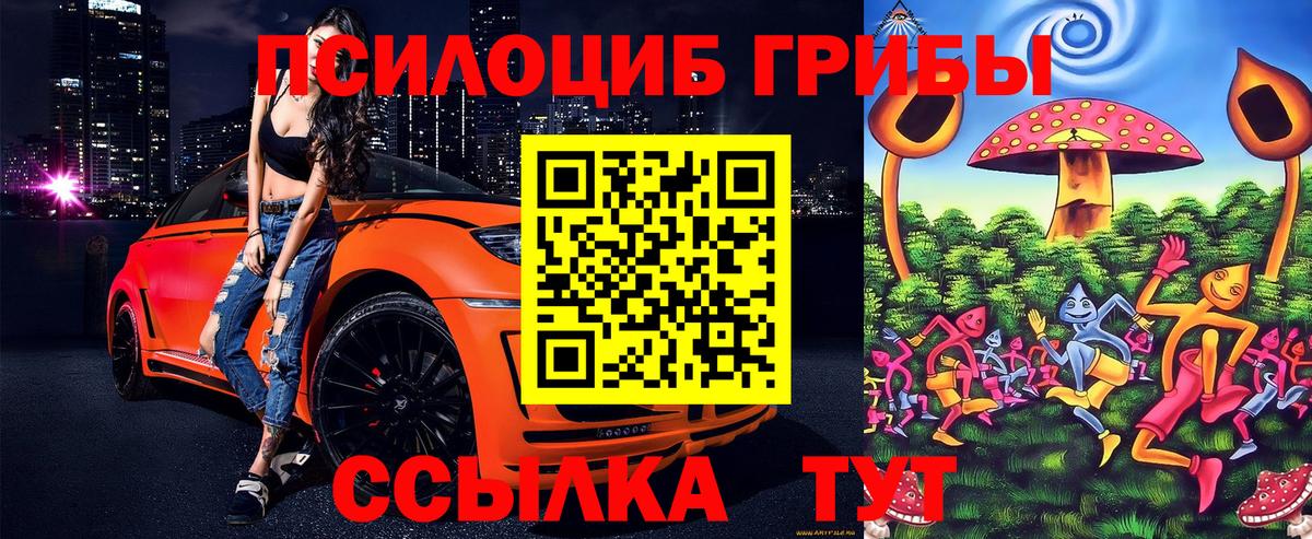 Галлюциногенные грибы Psilocybine cubensis Котовск