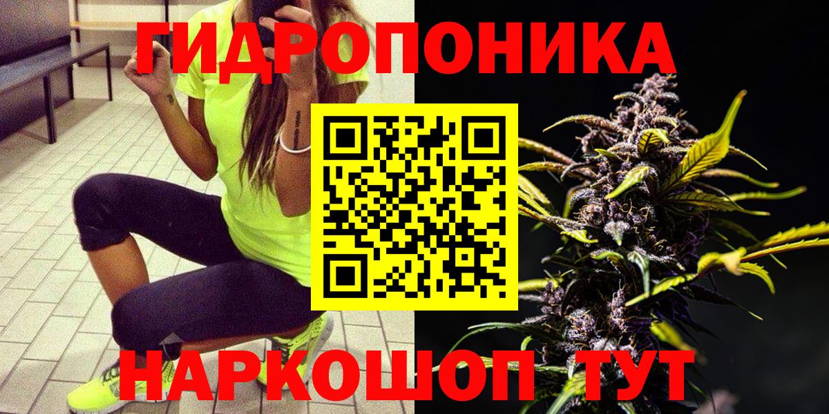 Марихуана сатива Котовск